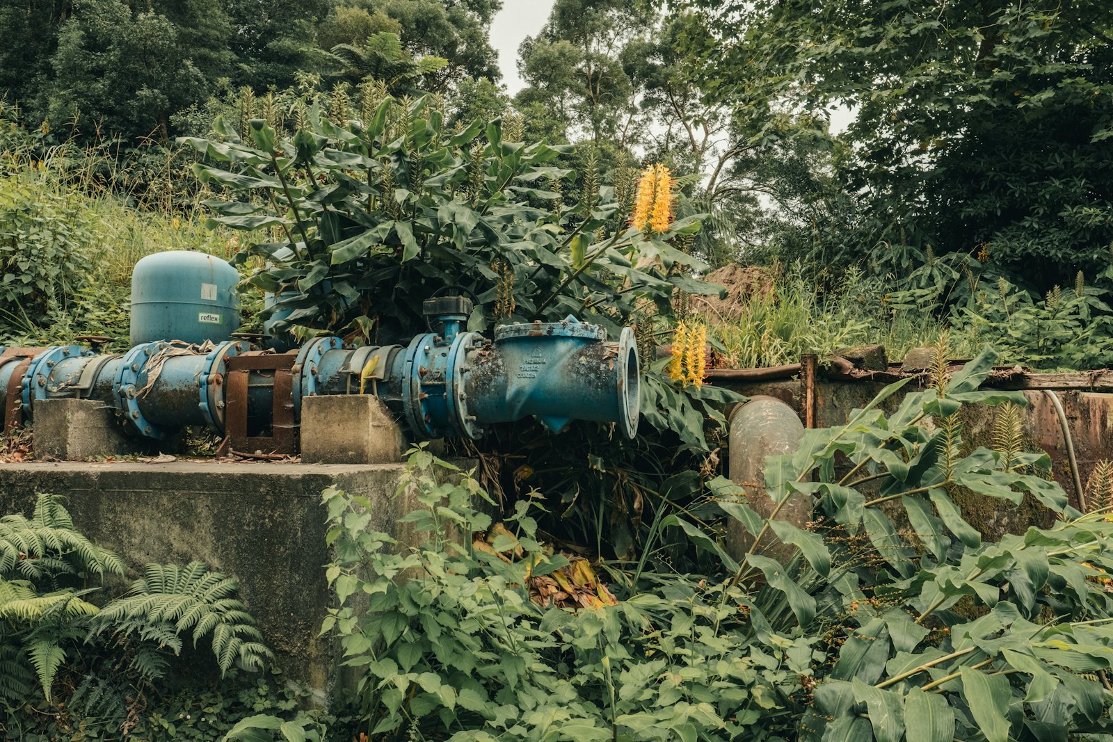 Phc Plumbing Co — plumber in Ballwin, MO